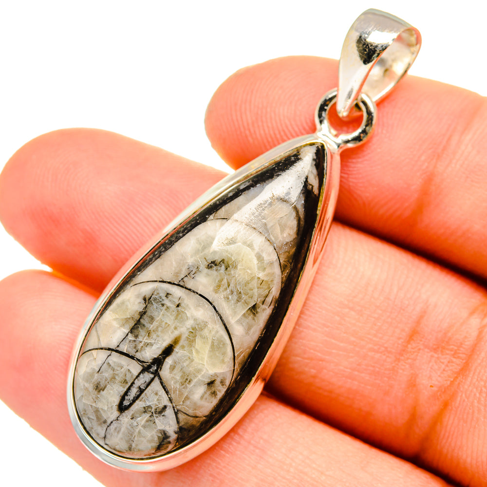 Orthoceras Fossil Pendants handcrafted by Anasilvercos - PD10895
