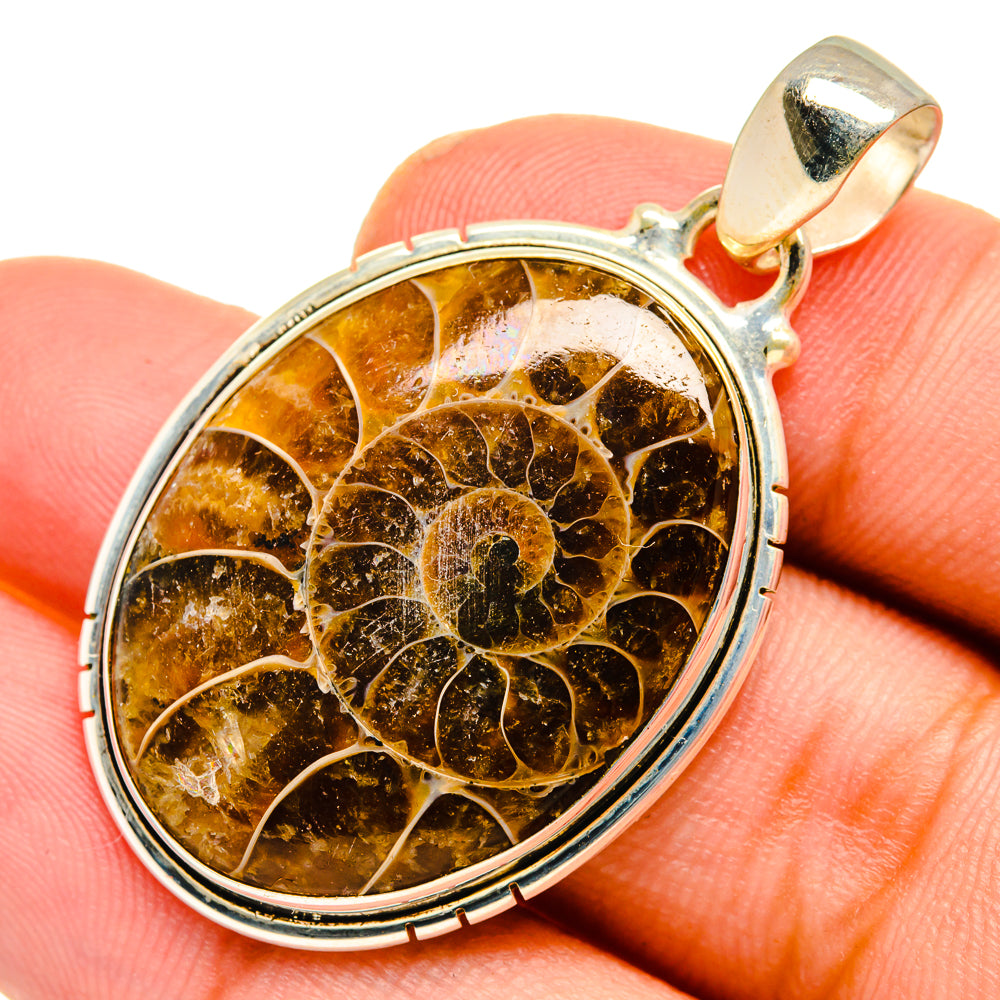 Ammonite Fossil Pendants handcrafted by Anasilvercos - PD10943
