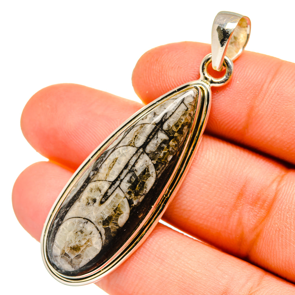 Orthoceras Fossil Pendants handcrafted by Anasilvercos - PD11061
