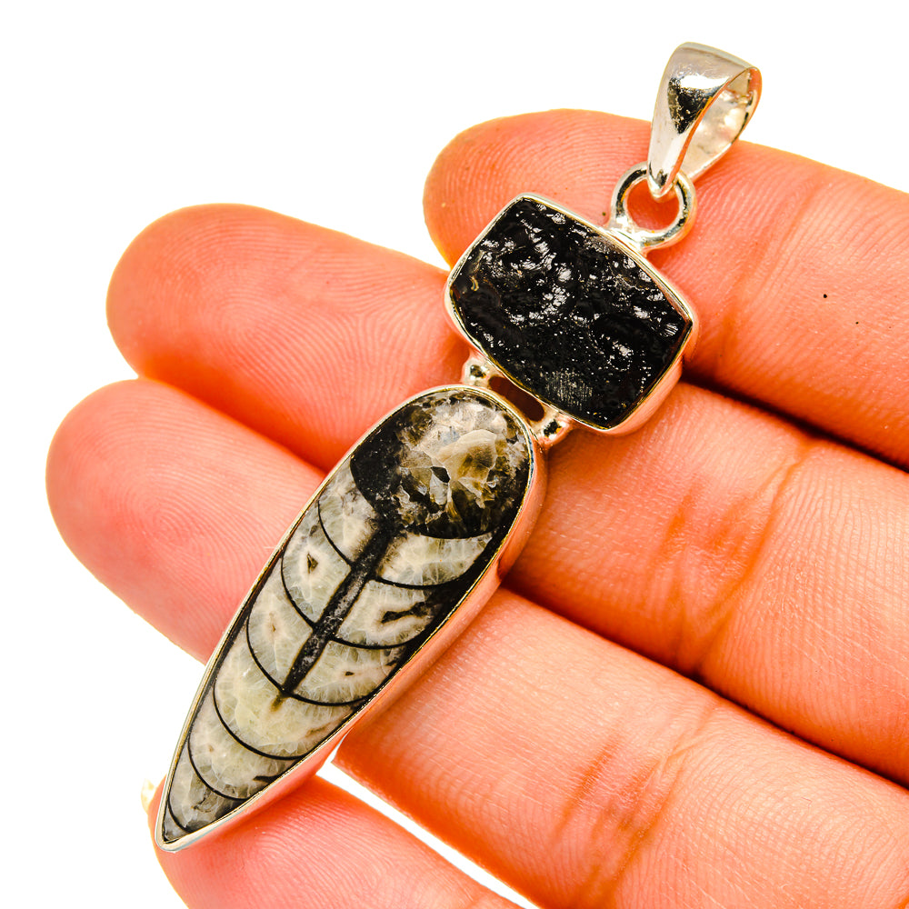 Orthoceras Fossil Pendants handcrafted by Anasilvercos - PD11089
