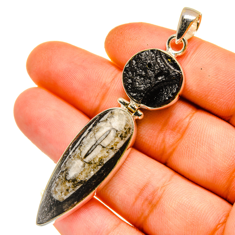 Orthoceras Fossil Pendants handcrafted by Anasilvercos - PD11091