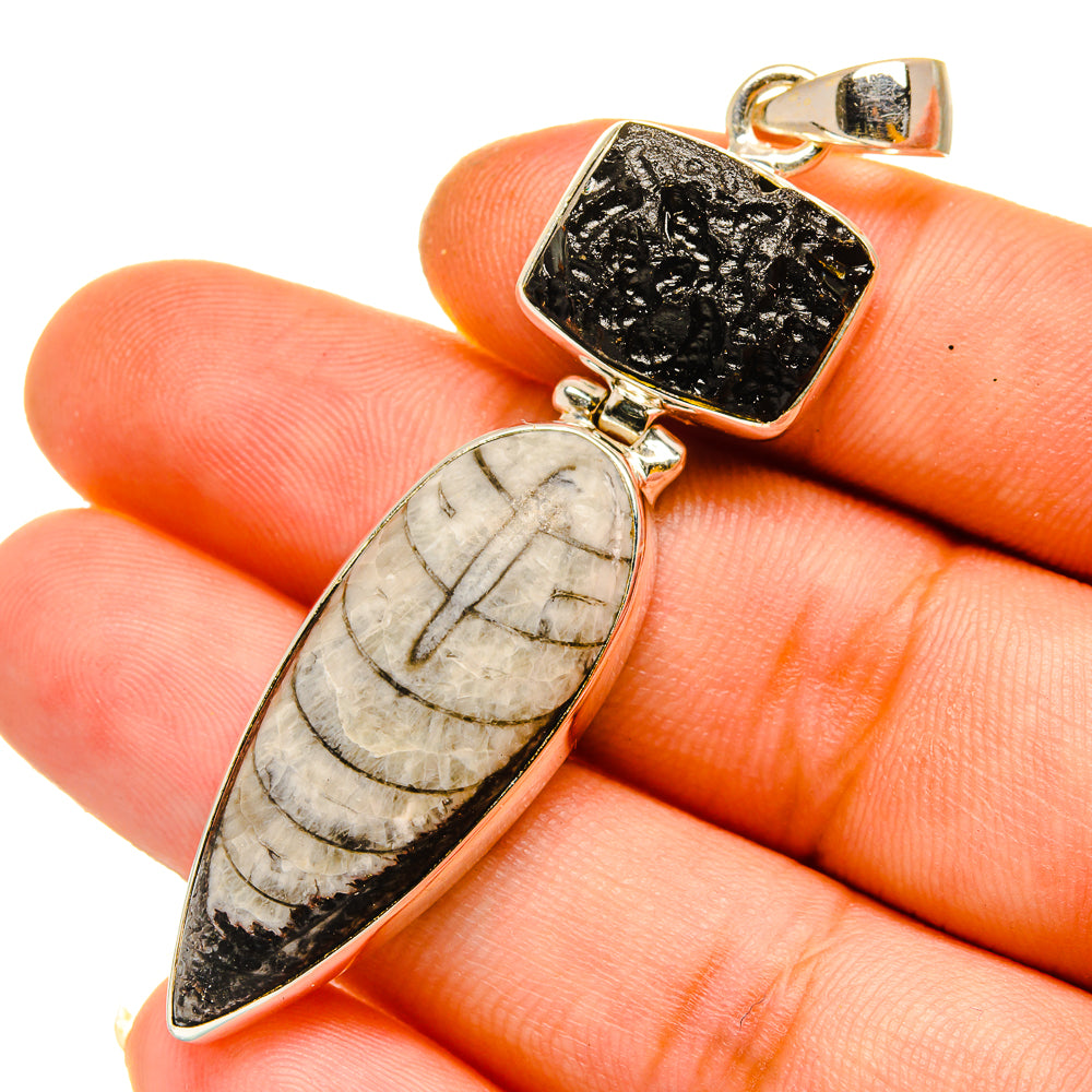 Orthoceras Fossil Pendants handcrafted by Anasilvercos - PD11092