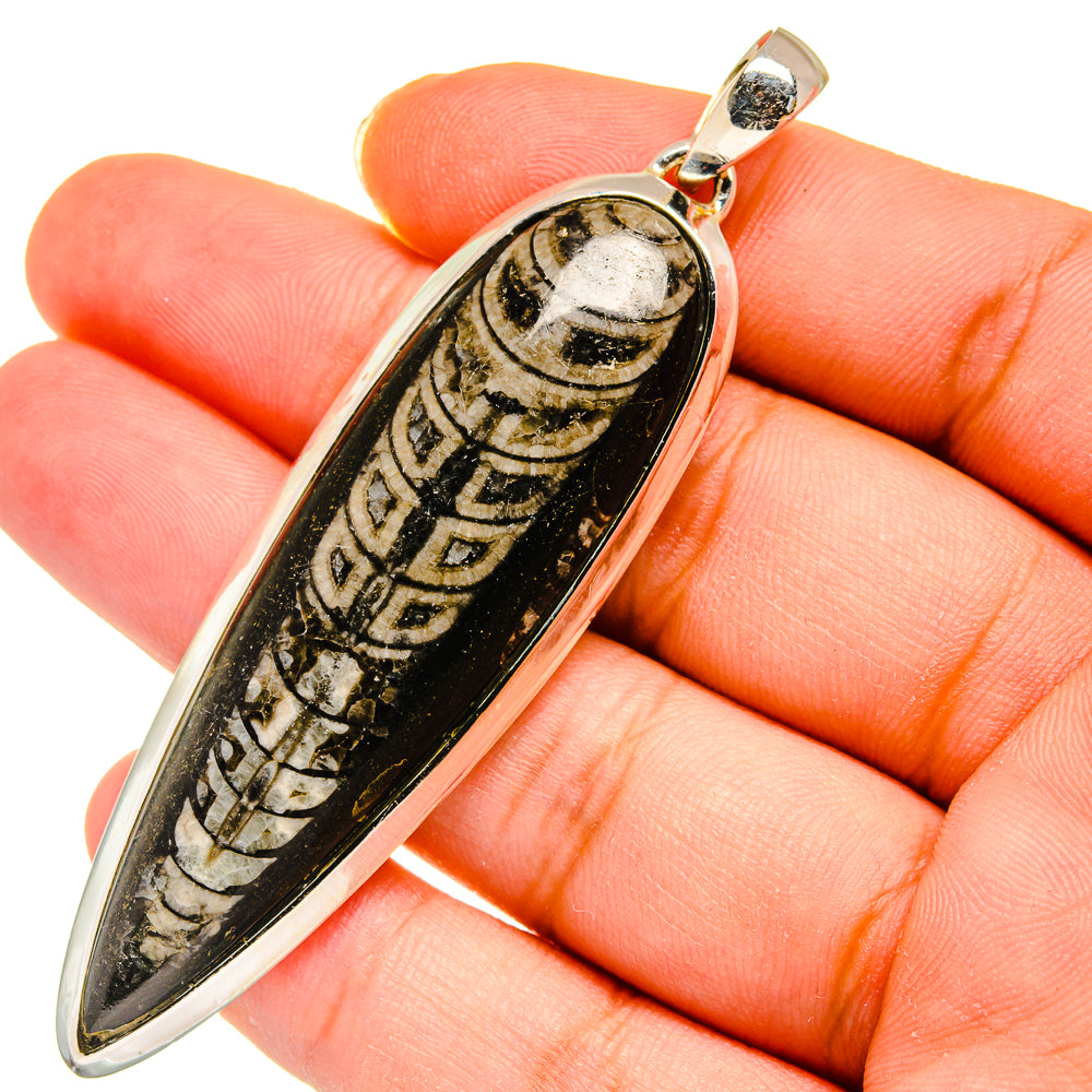 Orthoceras Fossil Pendants handcrafted by Anasilvercos - PD11458