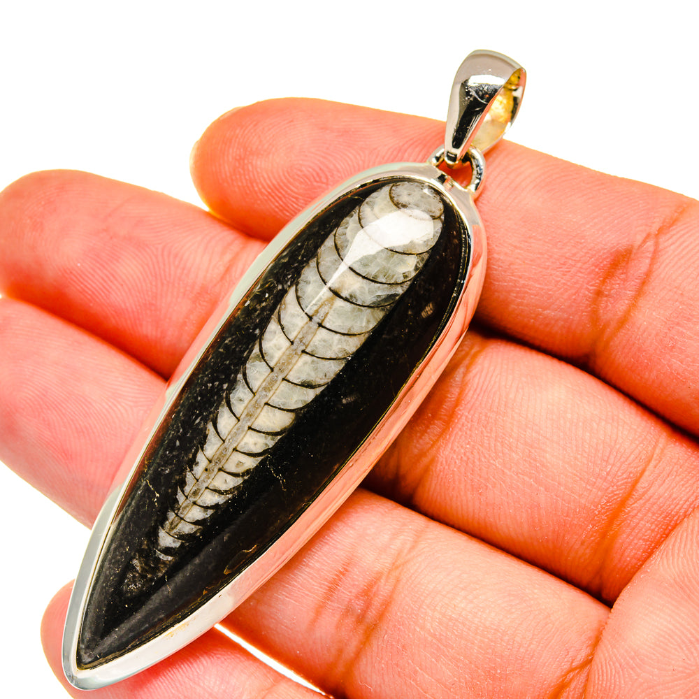 Orthoceras Fossil Pendants handcrafted by Anasilvercos - PD11459