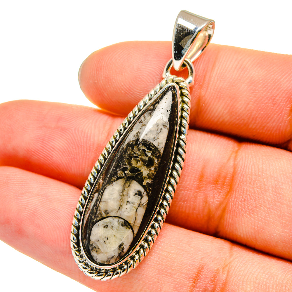 Orthoceras Fossil Pendants handcrafted by Anasilvercos - PD13173