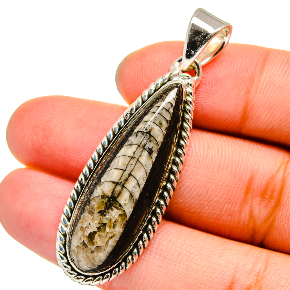 Orthoceras Fossil Pendants handcrafted by Anasilvercos - PD13326