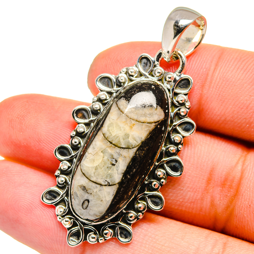 Orthoceras Fossil Pendants handcrafted by Anasilvercos - PD13332