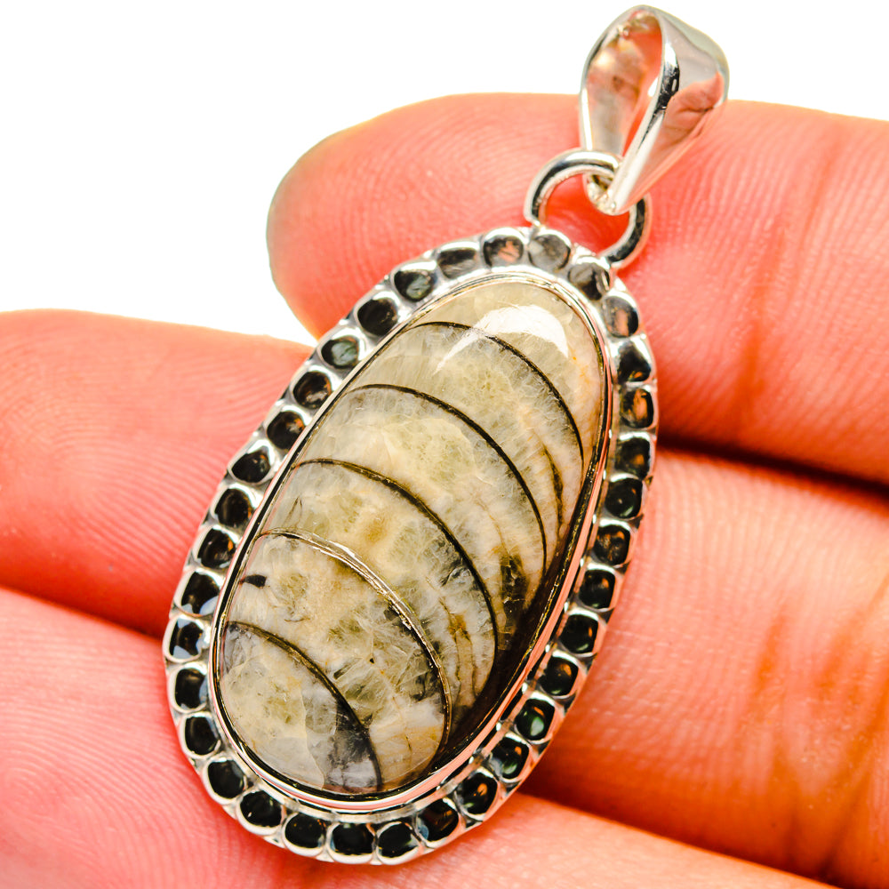 Orthoceras Fossil Pendants handcrafted by Anasilvercos - PD13334