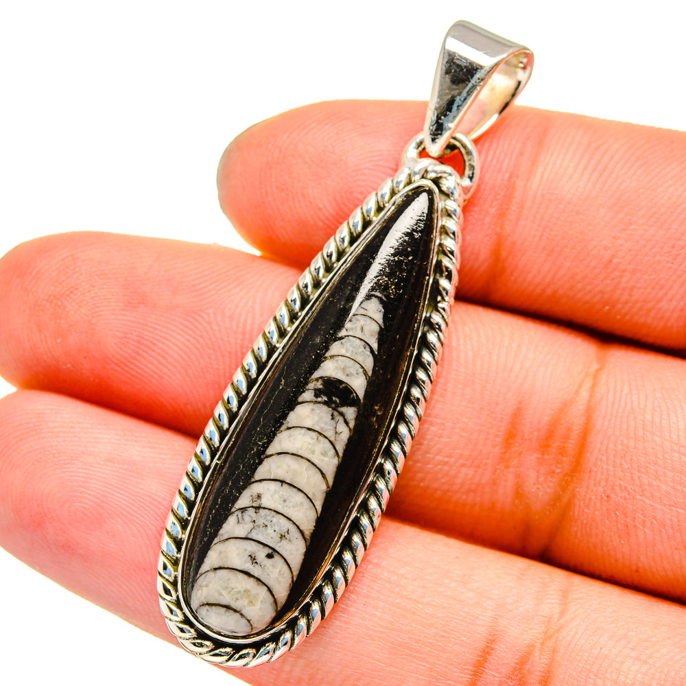 Orthoceras Fossil Pendants handcrafted by Anasilvercos - PD13353