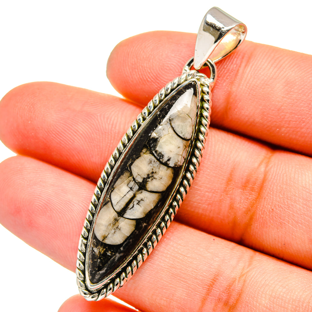 Orthoceras Fossil Pendants handcrafted by Anasilvercos - PD13380