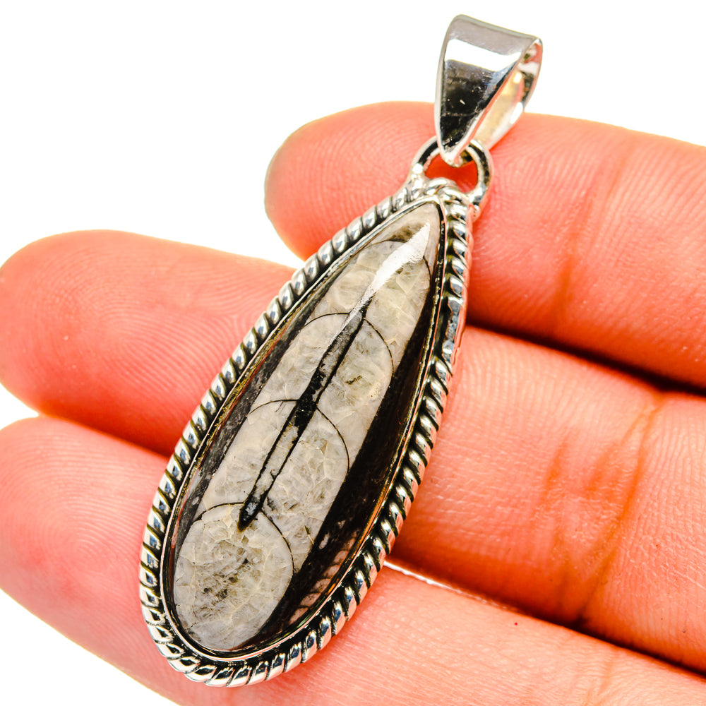 Orthoceras Fossil Pendants handcrafted by Anasilvercos - PD13381