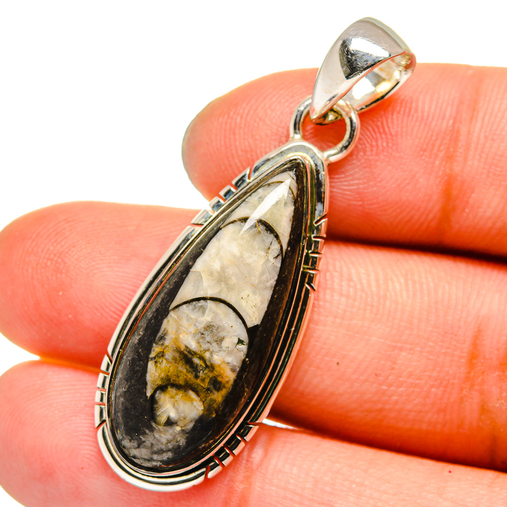 Orthoceras Fossil Pendants handcrafted by Anasilvercos - PD13385