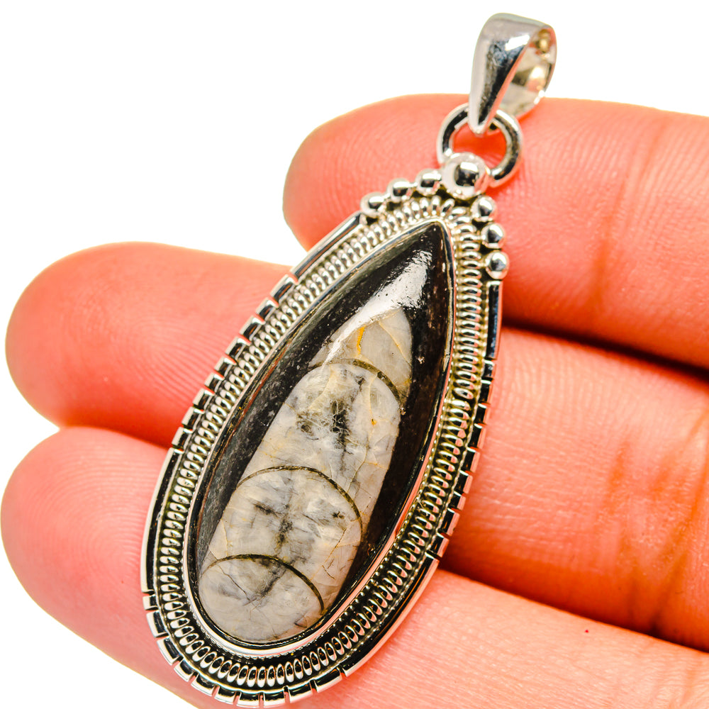 Orthoceras Fossil Pendants handcrafted by Anasilvercos - PD13397