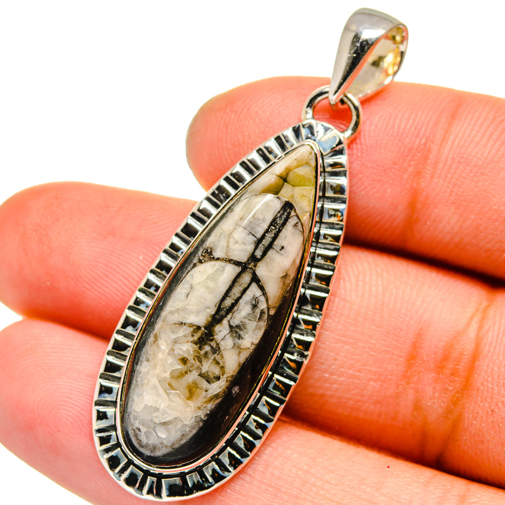 Orthoceras Fossil Pendants handcrafted by Anasilvercos - PD13400