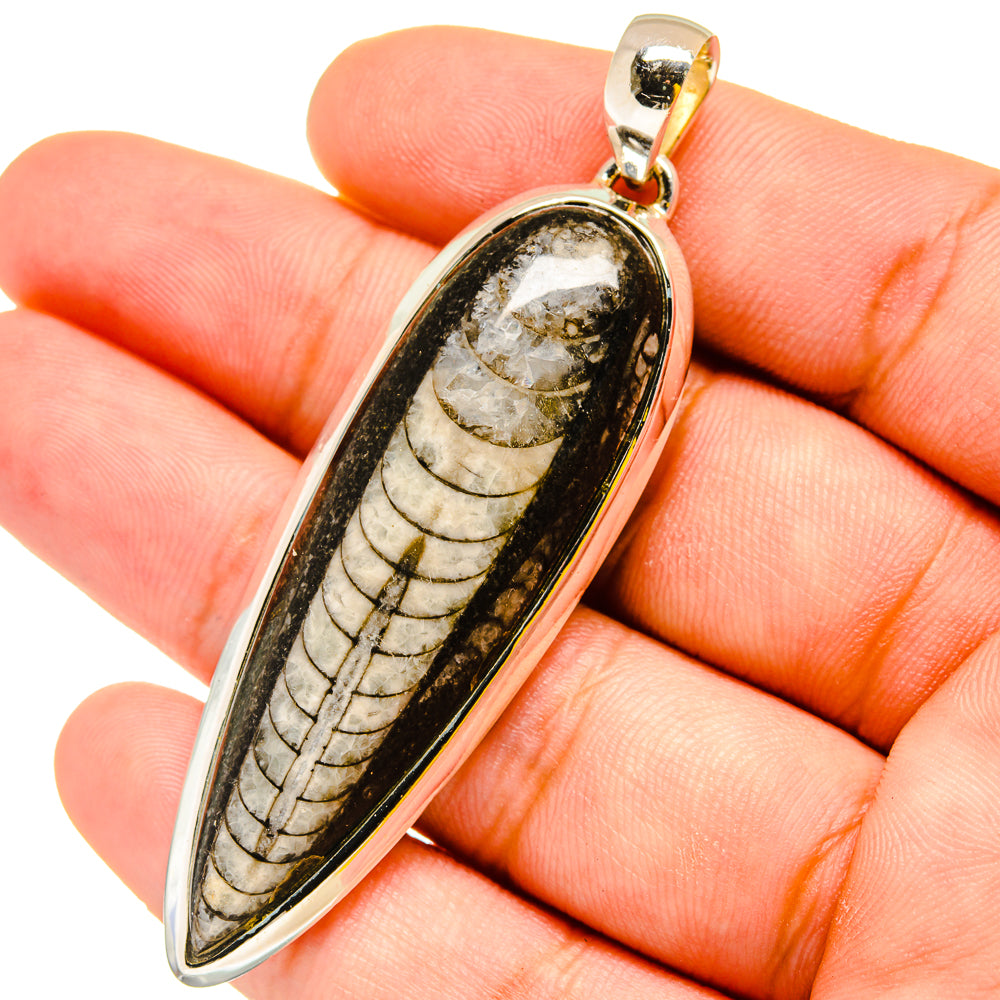 Orthoceras Fossil Pendants handcrafted by Anasilvercos - PD13443