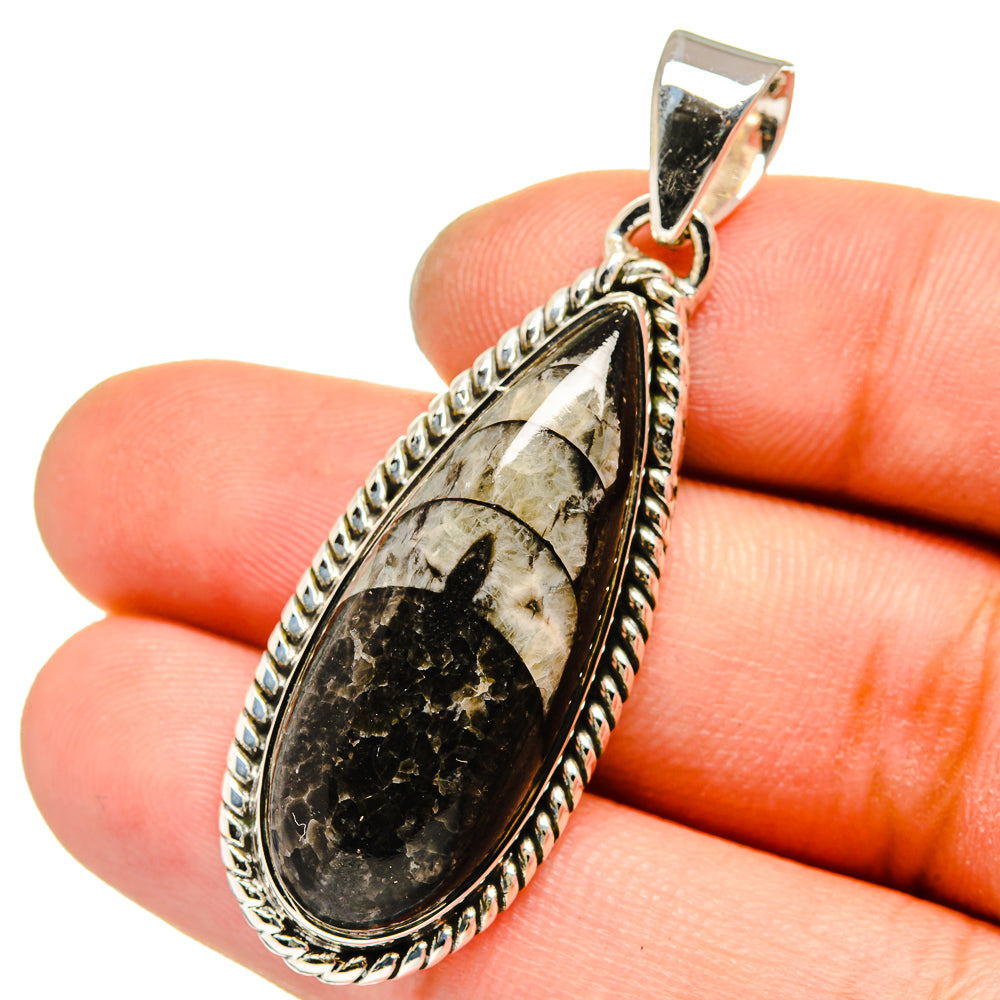 Orthoceras Fossil Pendants handcrafted by Anasilvercos - PD13610