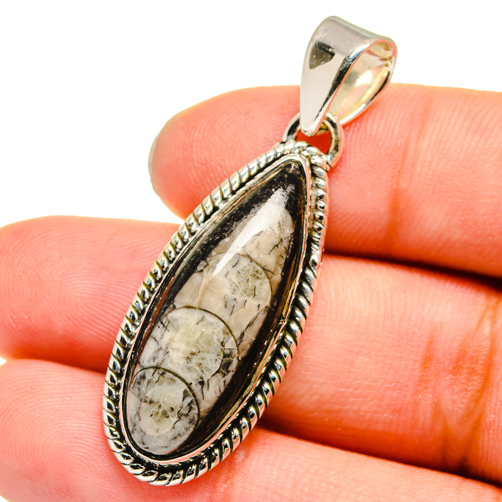 Orthoceras Fossil Pendants handcrafted by Anasilvercos - PD13640