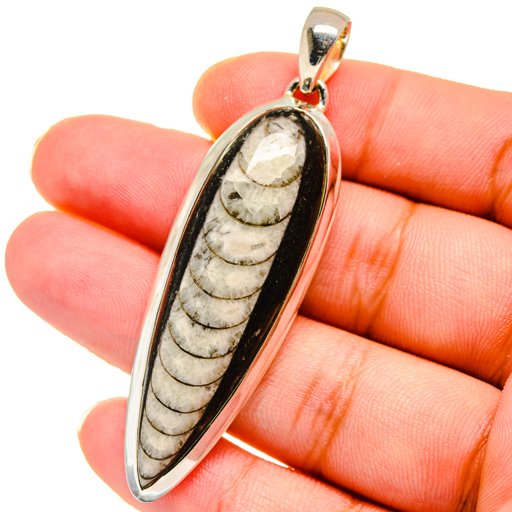 Orthoceras Fossil Pendants handcrafted by Anasilvercos - PD14755