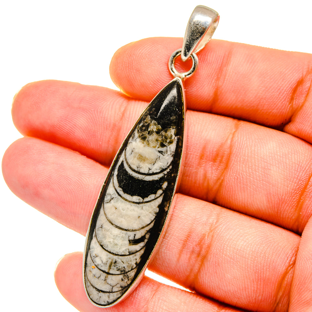 Orthoceras Fossil Pendants handcrafted by Anasilvercos - PD14777