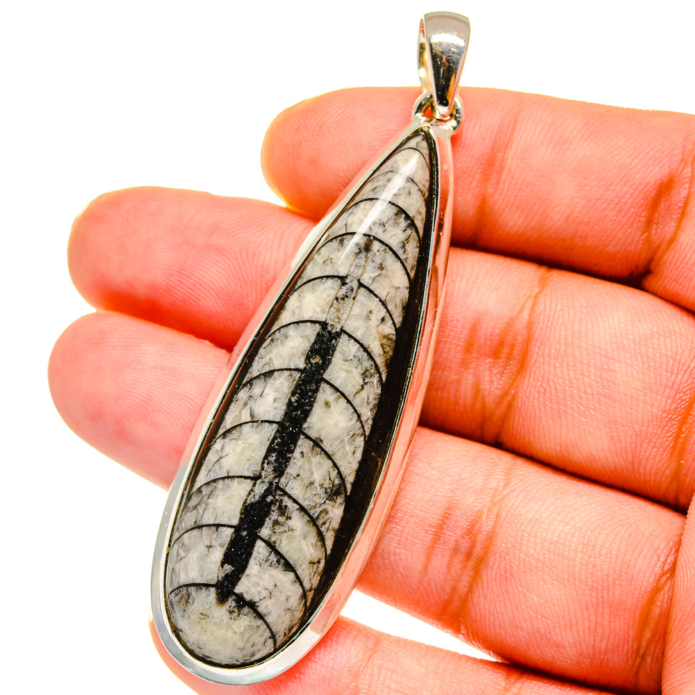 Orthoceras Fossil Pendants handcrafted by Anasilvercos - PD14779