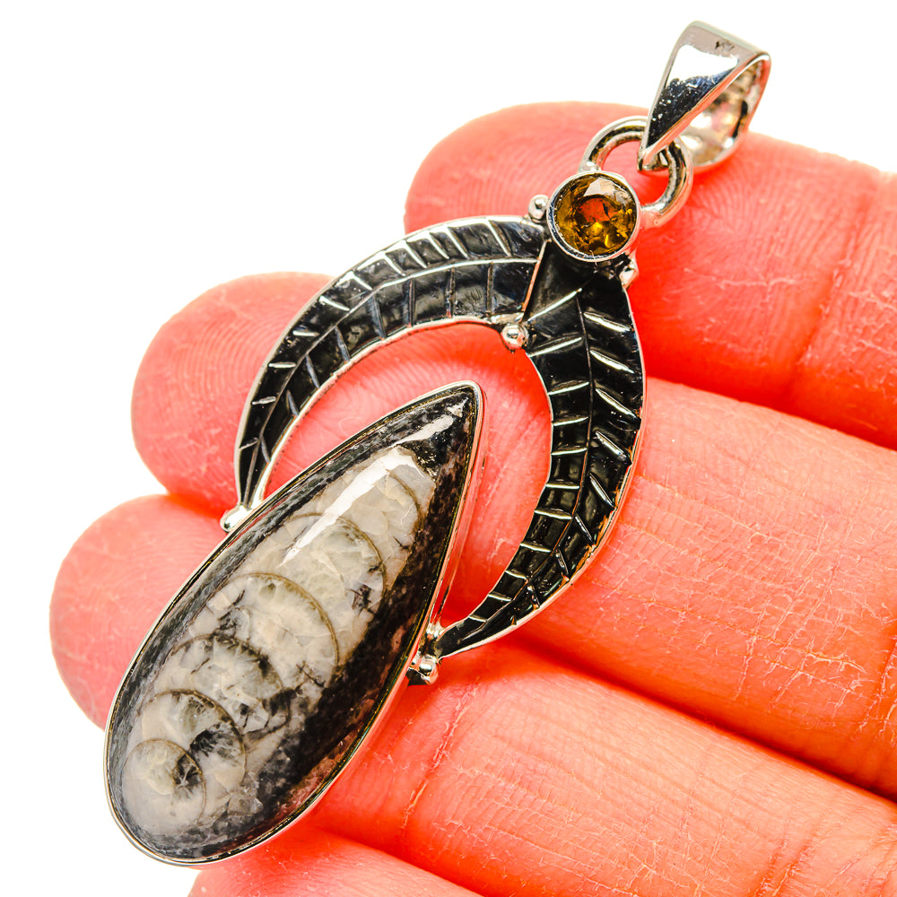 Orthoceras Fossil Pendants handcrafted by Anasilvercos - PD17321
