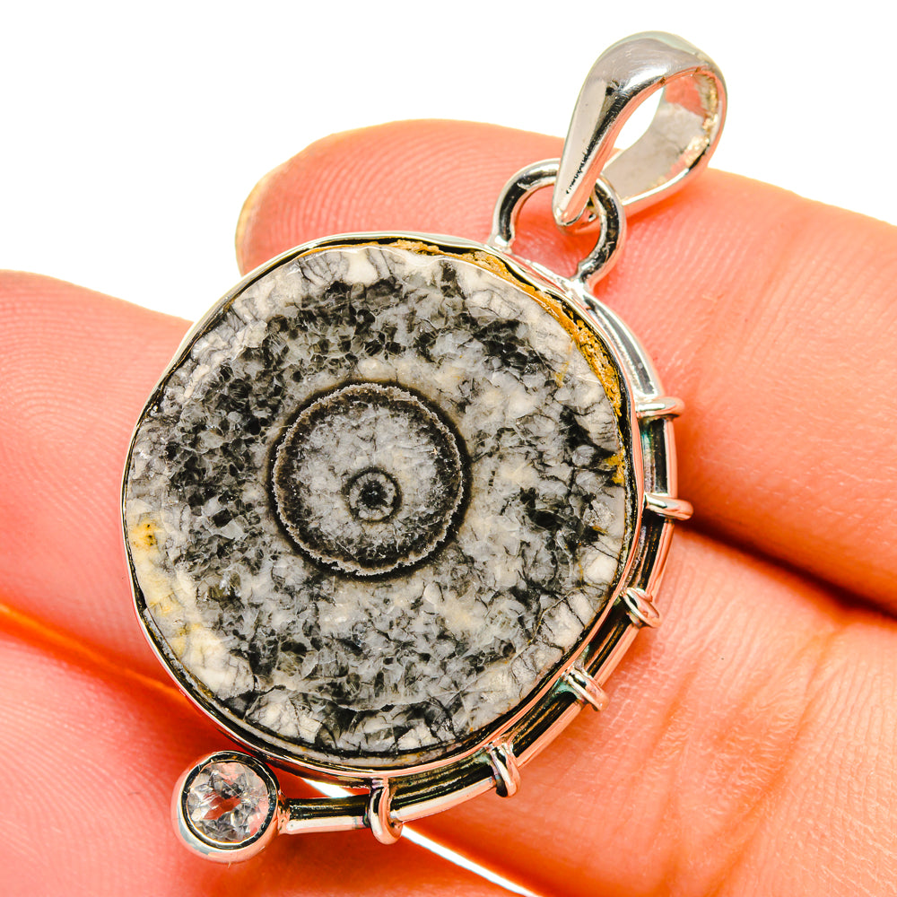 Moroccan Goniatite Fossil Pendants handcrafted by Anasilvercos - PD17777