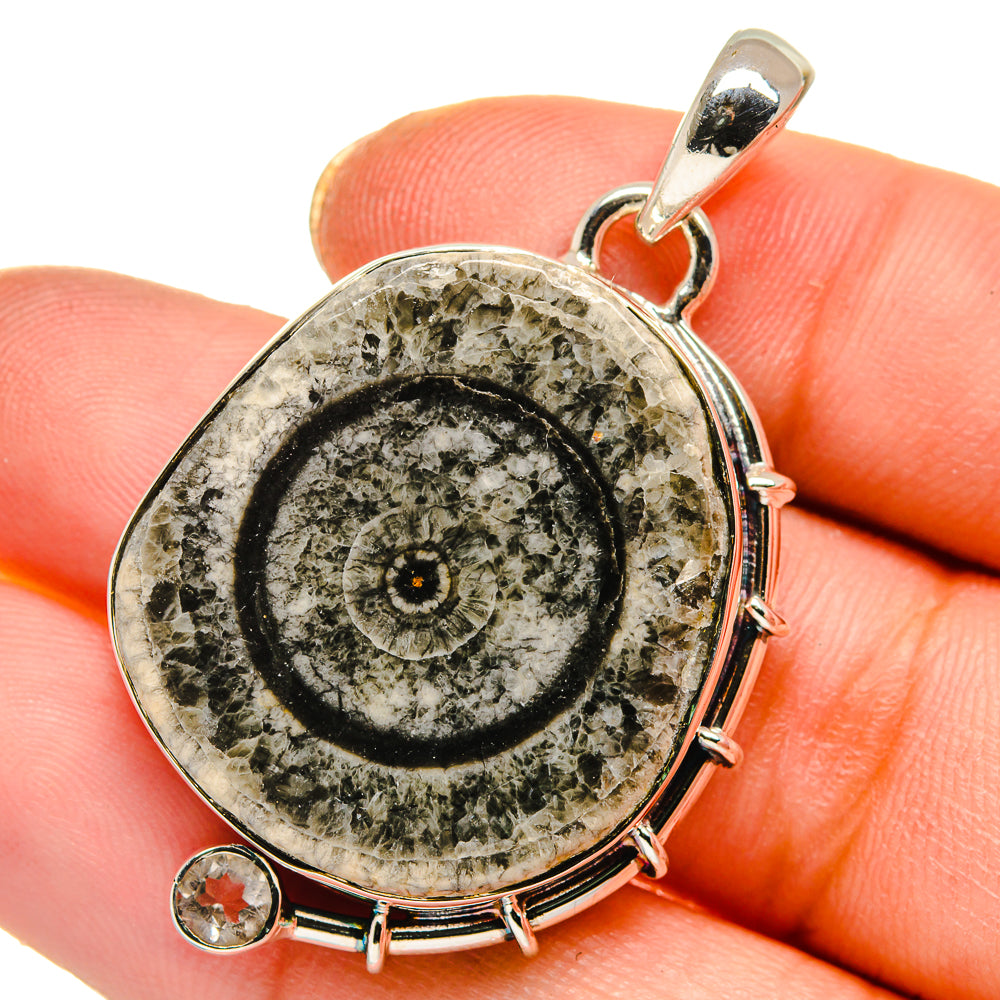 Moroccan Goniatite Fossil Pendants handcrafted by Anasilvercos - PD17781