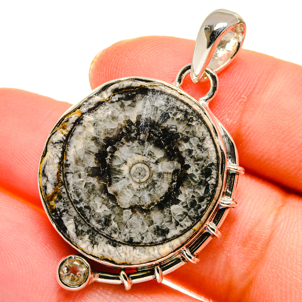 Goniatite Fossil Pendants handcrafted by Anasilvercos - PD17904