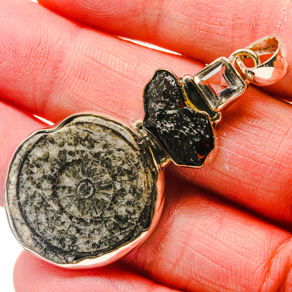 Goniatite Fossil Pendants handcrafted by Anasilvercos - PD18124