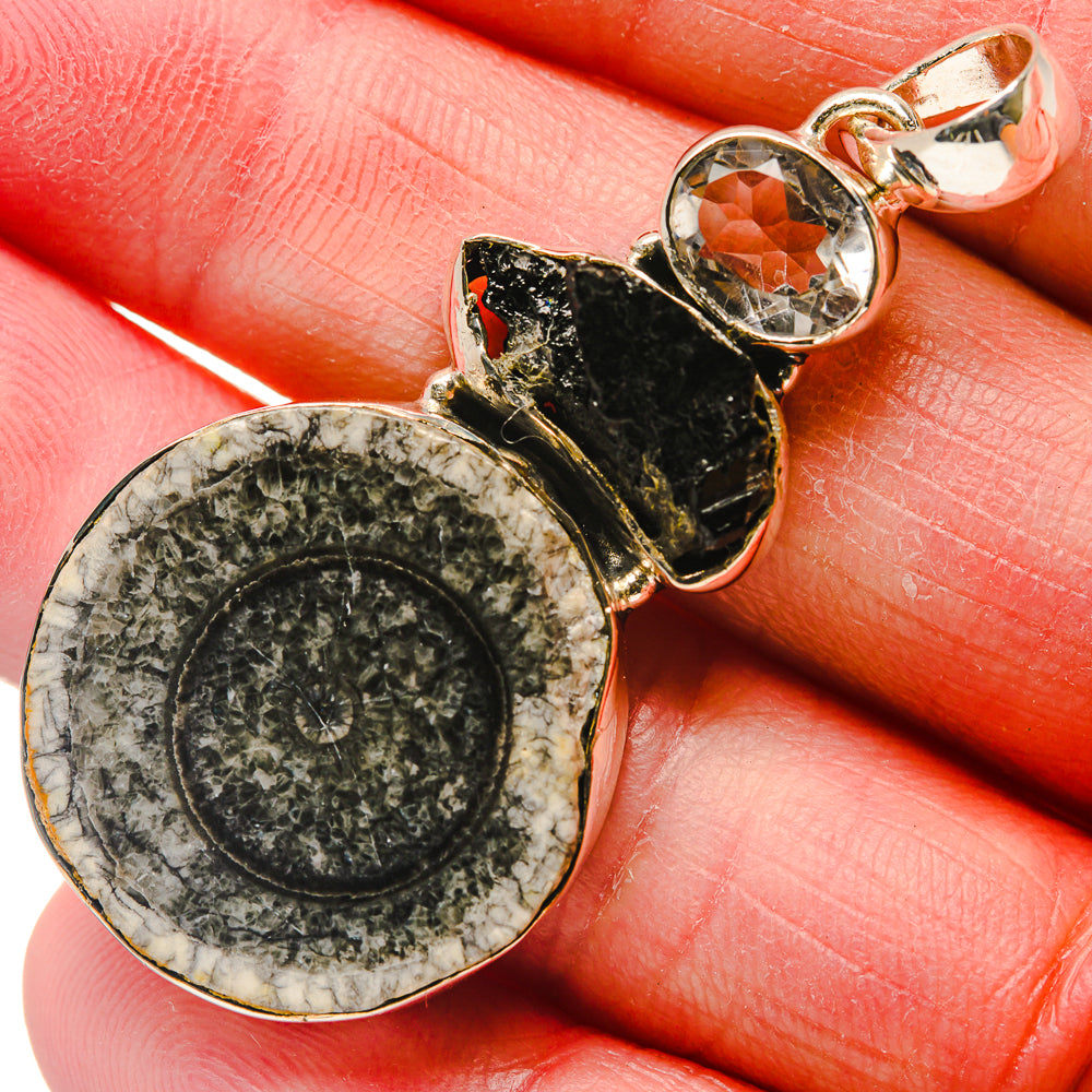 Goniatite Fossil Pendants handcrafted by Anasilvercos - PD18130
