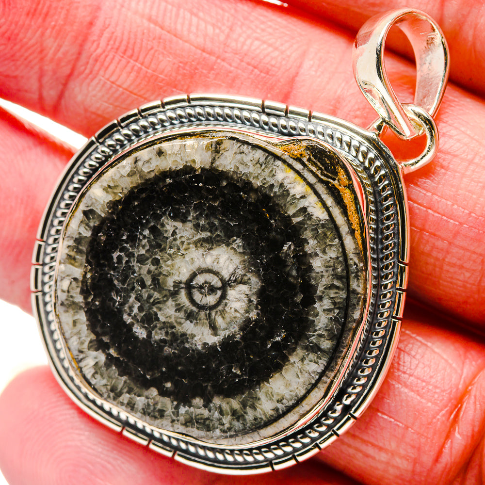 Goniatite Fossil Pendants handcrafted by Anasilvercos - PD18270