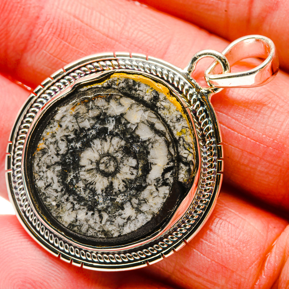 Goniatite Fossil Pendants handcrafted by Anasilvercos - PD18332