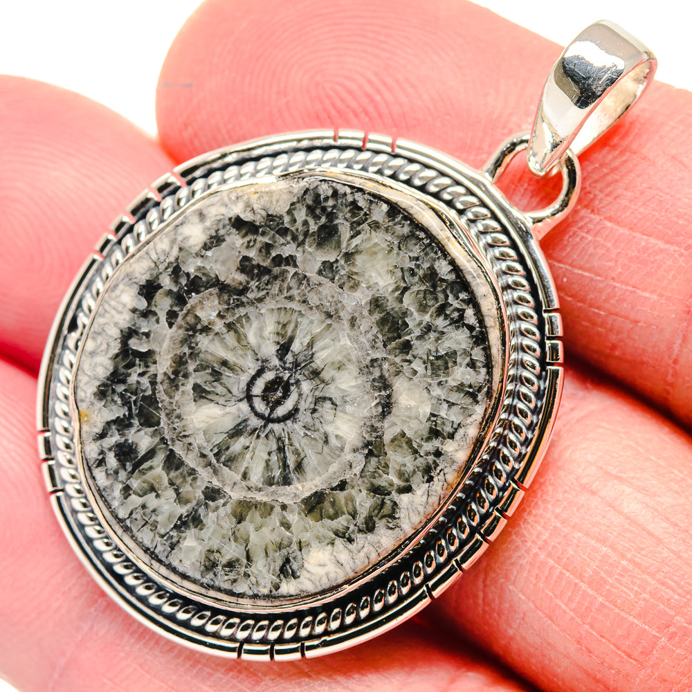 Goniatite Fossil Pendants handcrafted by Anasilvercos - PD18670