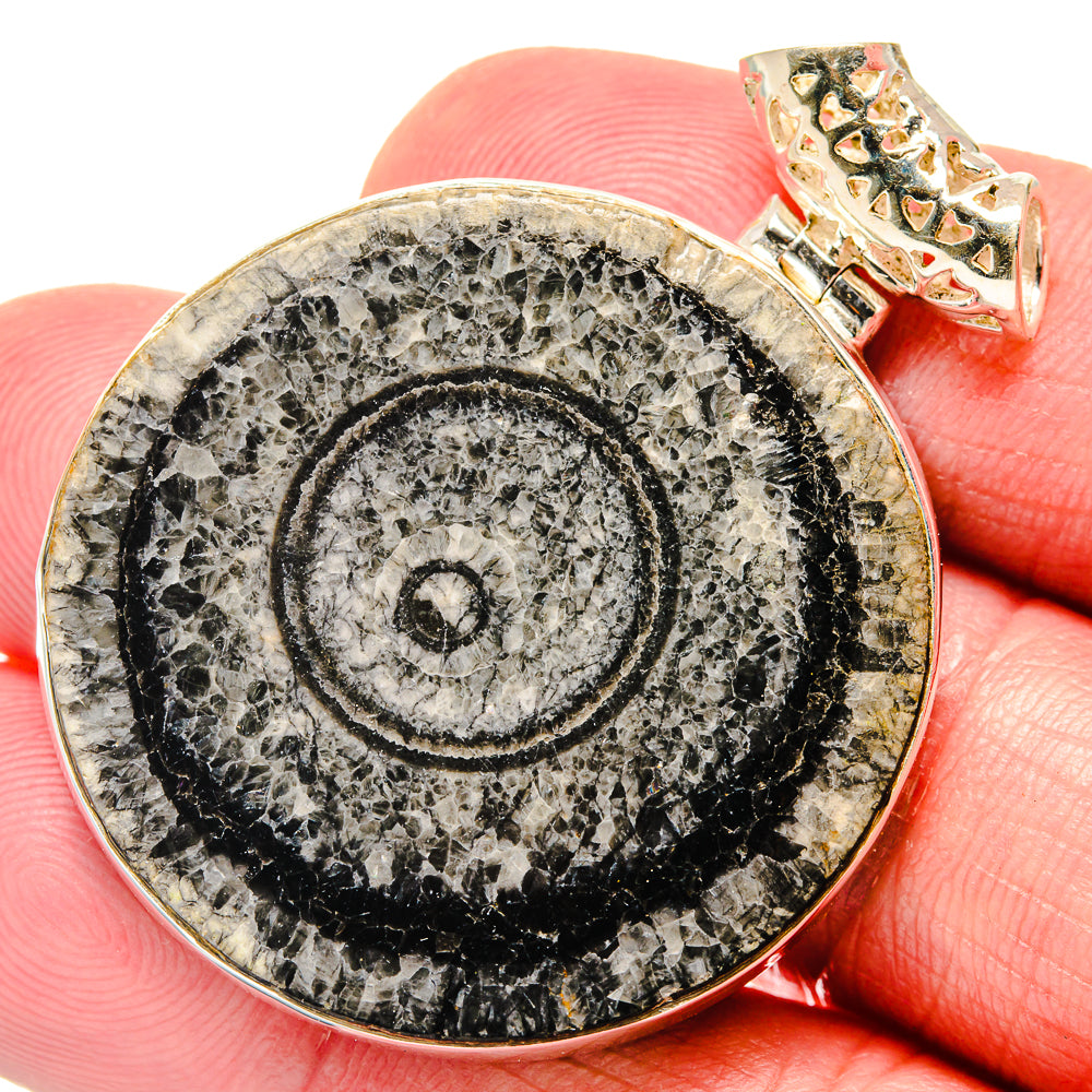 Moroccan Goniatite Fossil Pendants handcrafted by Anasilvercos - PD20164