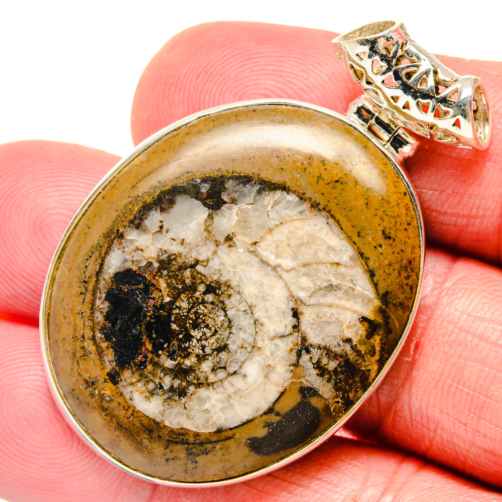 Ammonite Fossil Pendants handcrafted by Anasilvercos - PD20165