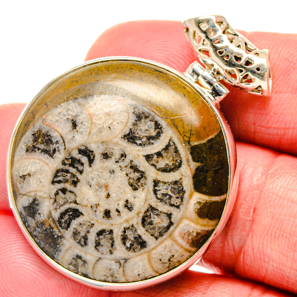 Ammonite Fossil Pendants handcrafted by Anasilvercos - PD20166