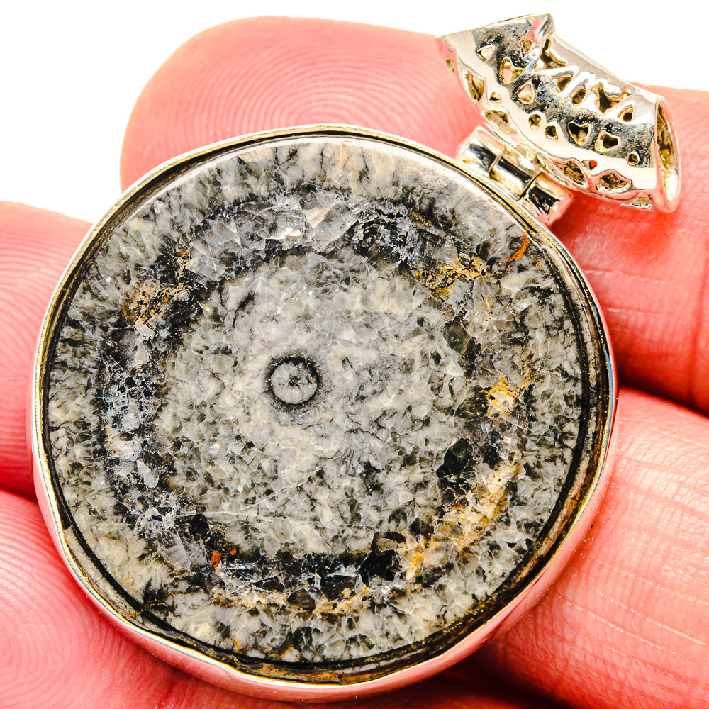 Moroccan Goniatite Fossil Pendants handcrafted by Anasilvercos - PD20168