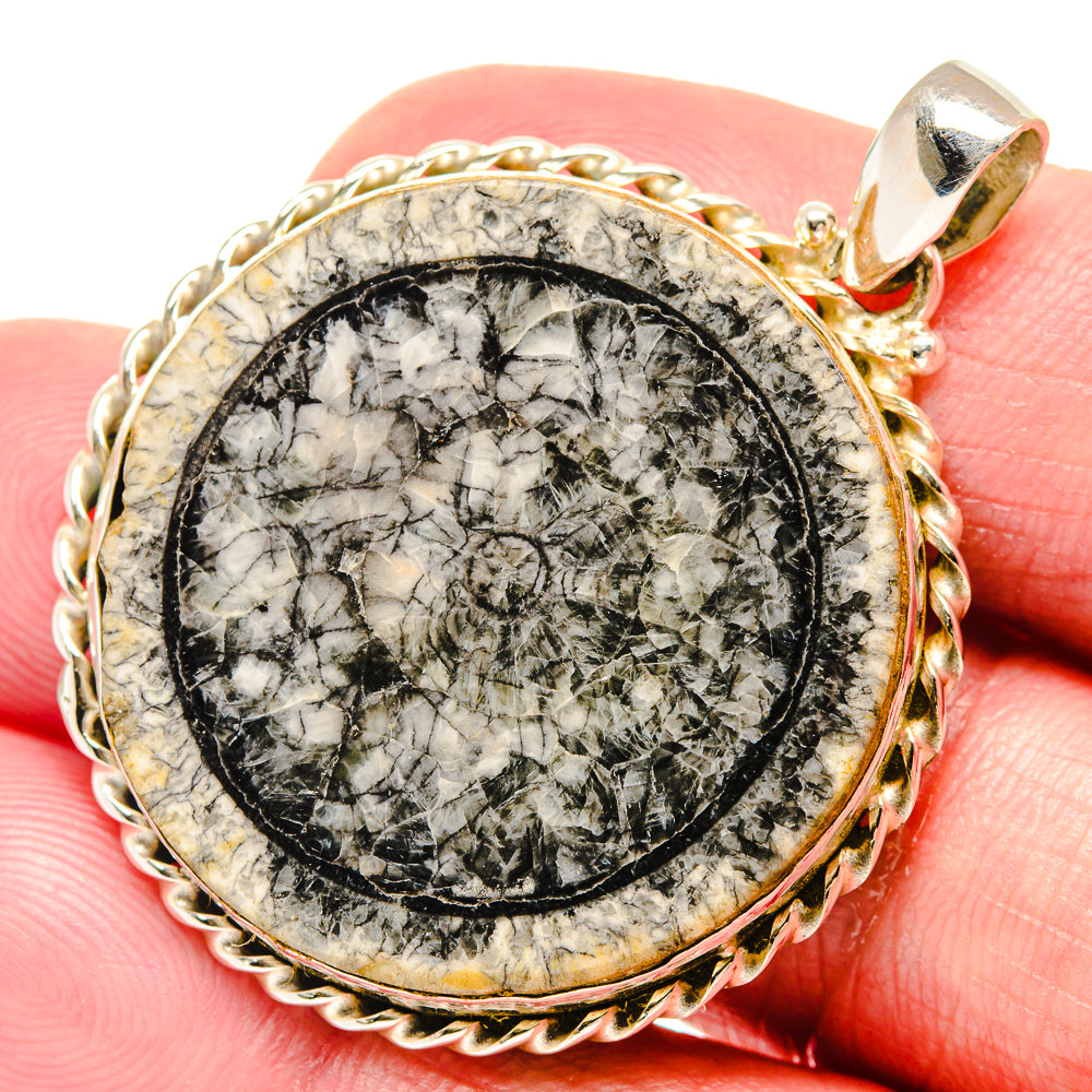 Moroccan Goniatite Fossil Pendants handcrafted by Anasilvercos - PD20231