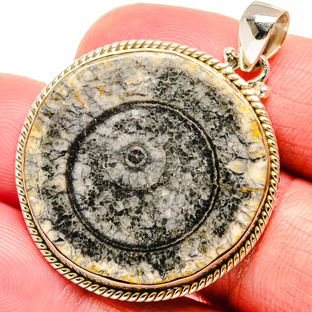 Moroccan Goniatite Fossil Pendants handcrafted by Anasilvercos - PD20232