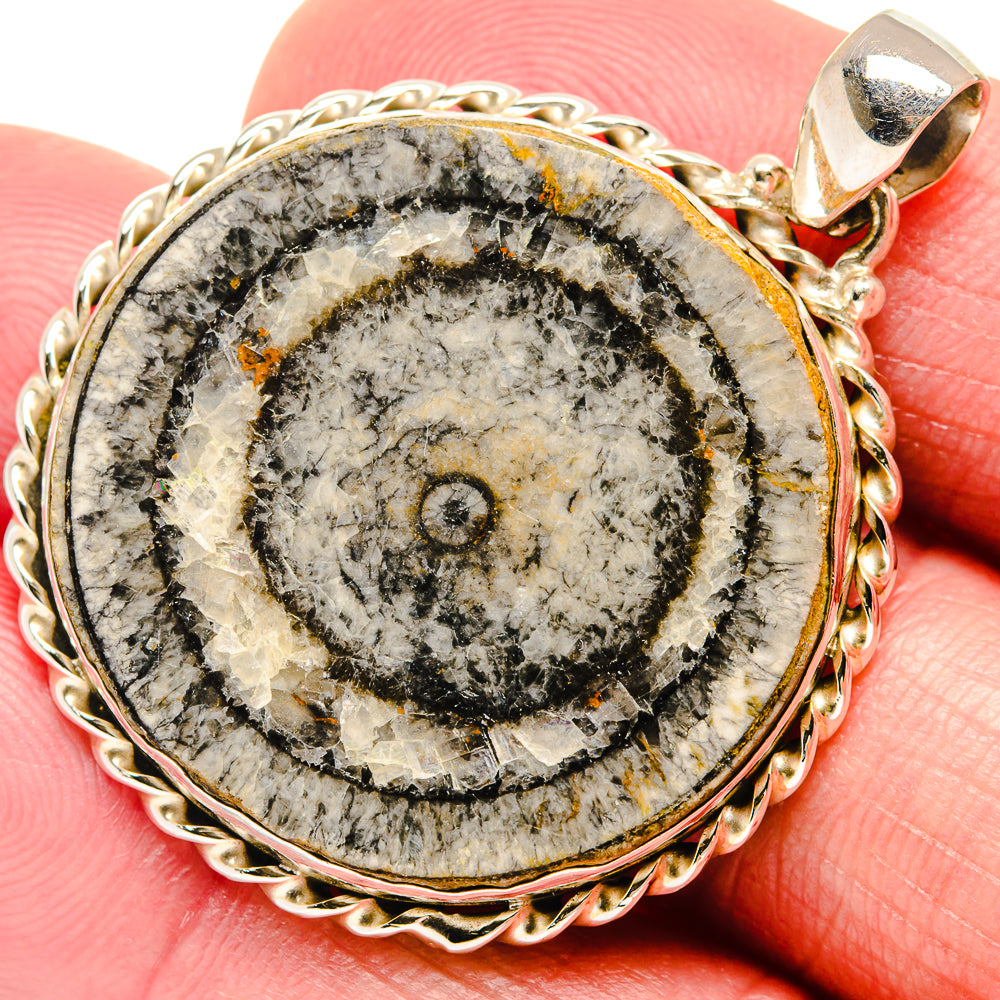 Moroccan Goniatite Fossil Pendants handcrafted by Anasilvercos - PD20359