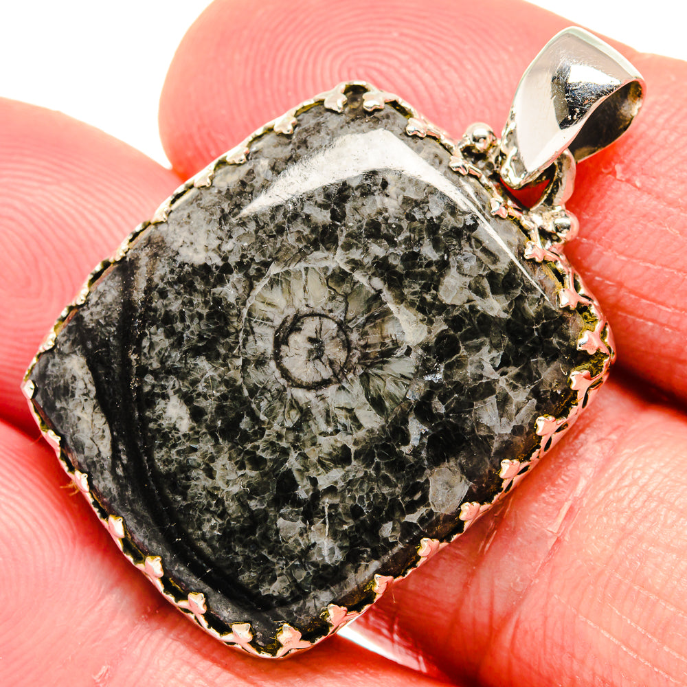 Moroccan Goniatite Fossil Pendants handcrafted by Anasilvercos - PD20494