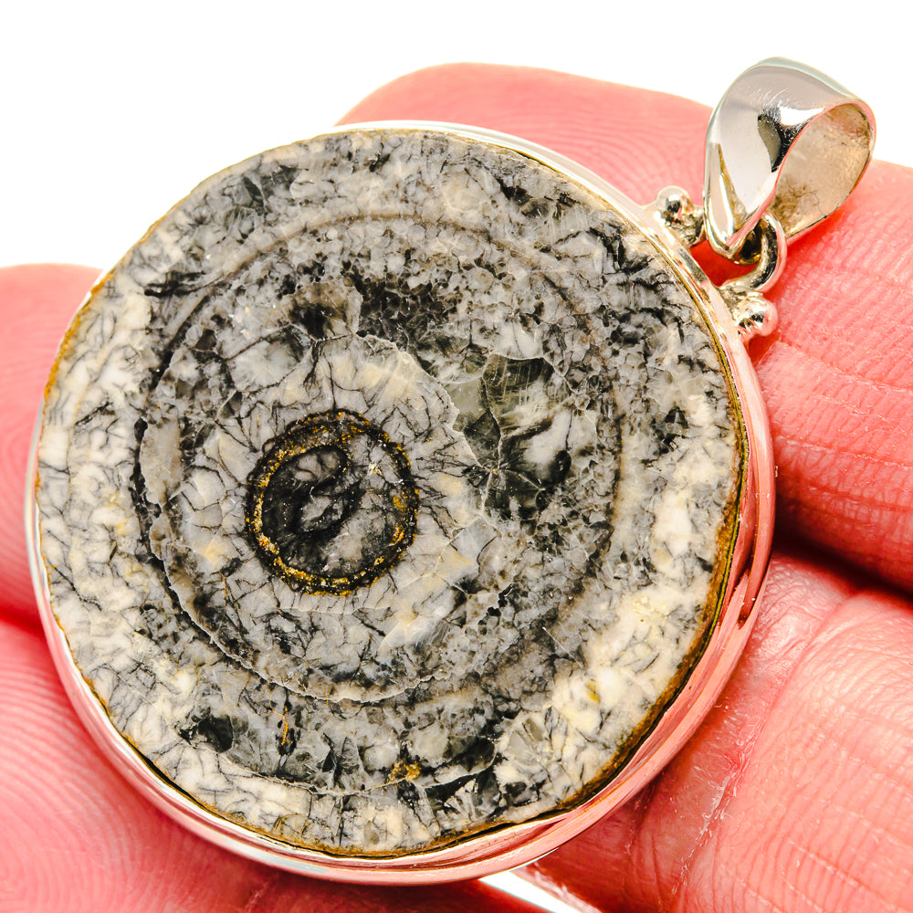 Moroccan Goniatite Fossil Pendants handcrafted by Anasilvercos - PD20647