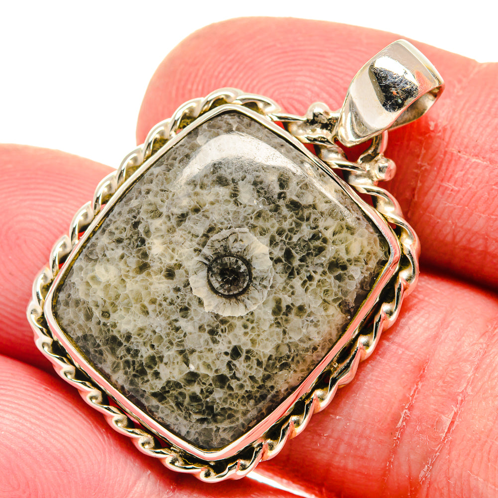 Moroccan Goniatite Fossil Pendants handcrafted by Anasilvercos - PD20967