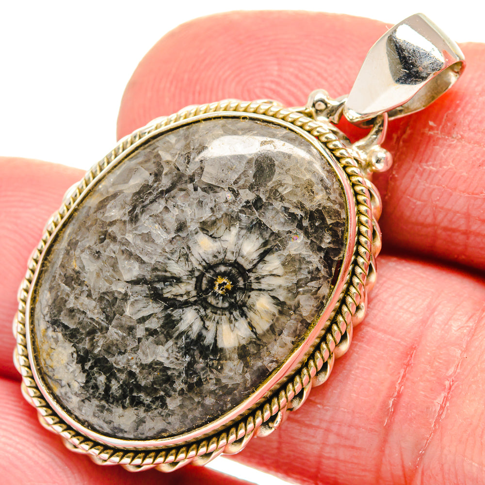 Moroccan Goniatite Fossil Pendants handcrafted by Anasilvercos - PD21396