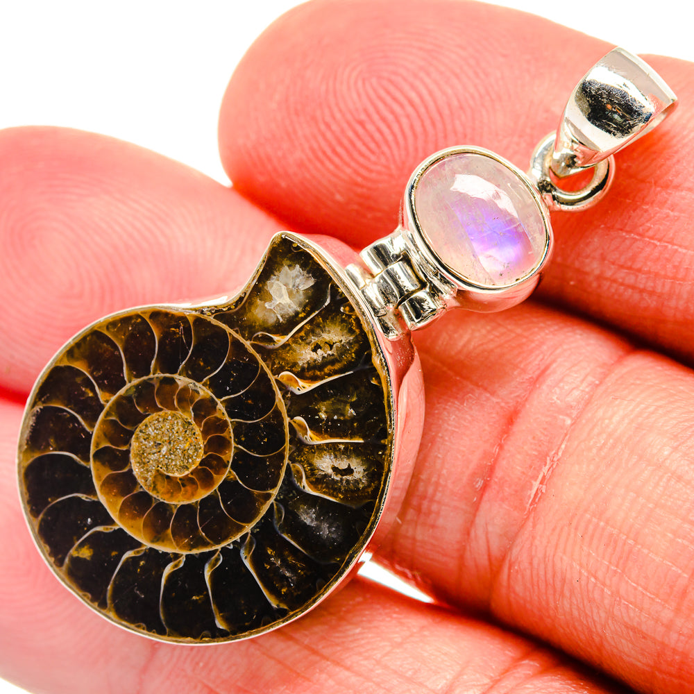 Ammonite Fossil Pendants handcrafted by Anasilvercos - PD22062