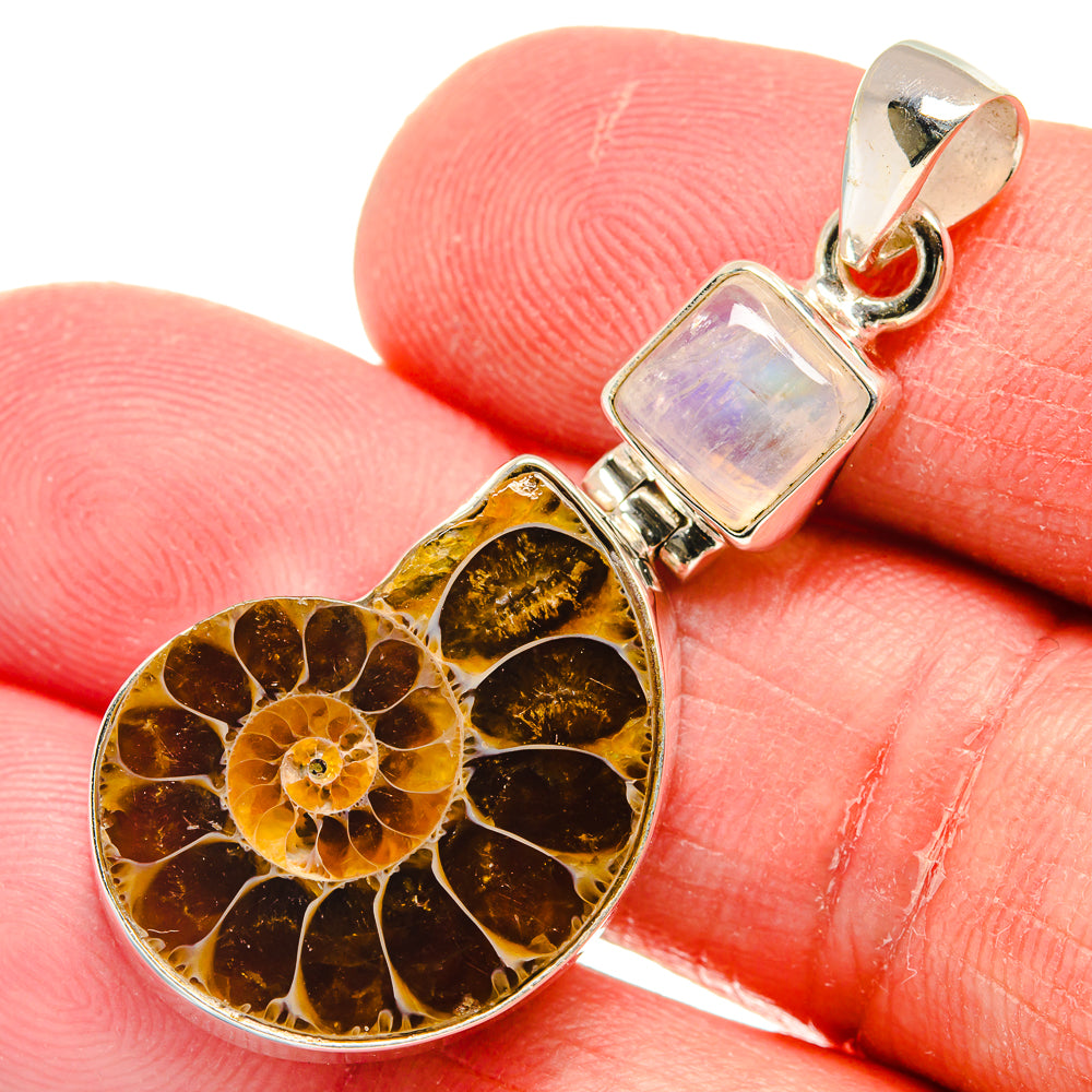 Ammonite Fossil Pendants handcrafted by Anasilvercos - PD22186