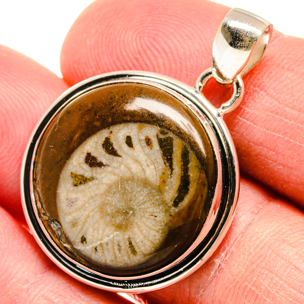 Turritella Agate Pendants handcrafted by Anasilvercos - PD22311