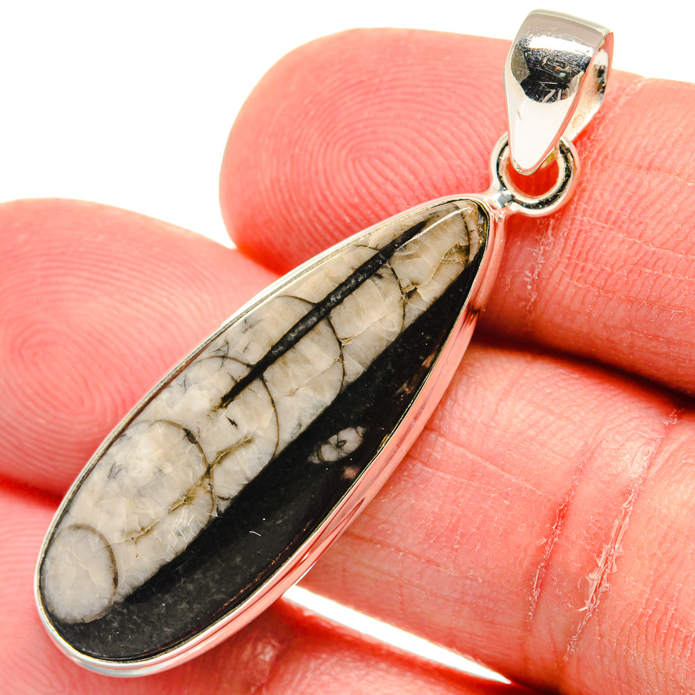 Orthoceras Fossil Pendants handcrafted by Anasilvercos - PD22467