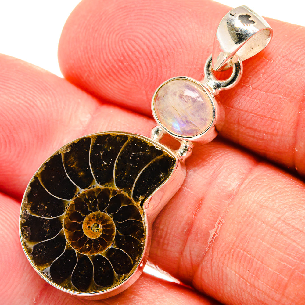 Ammonite Fossil Pendants handcrafted by Anasilvercos - PD22567