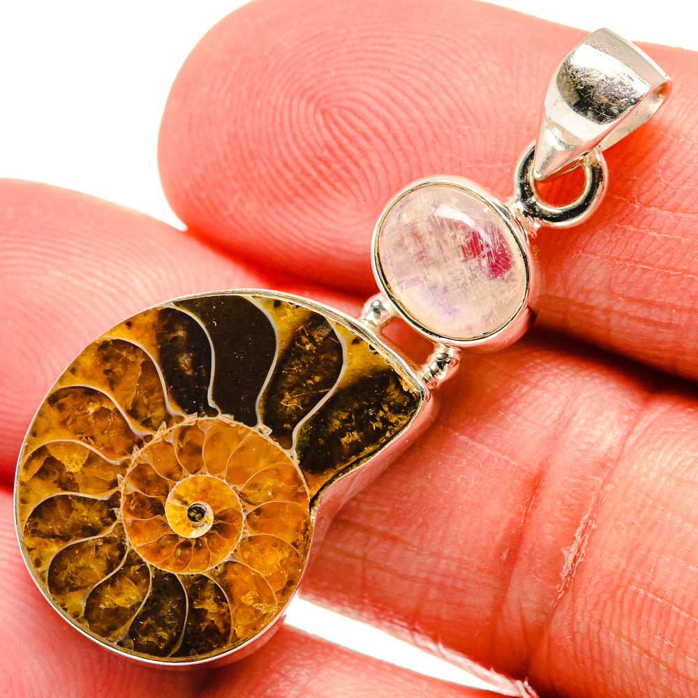 Ammonite Fossil Pendants handcrafted by Anasilvercos - PD22568